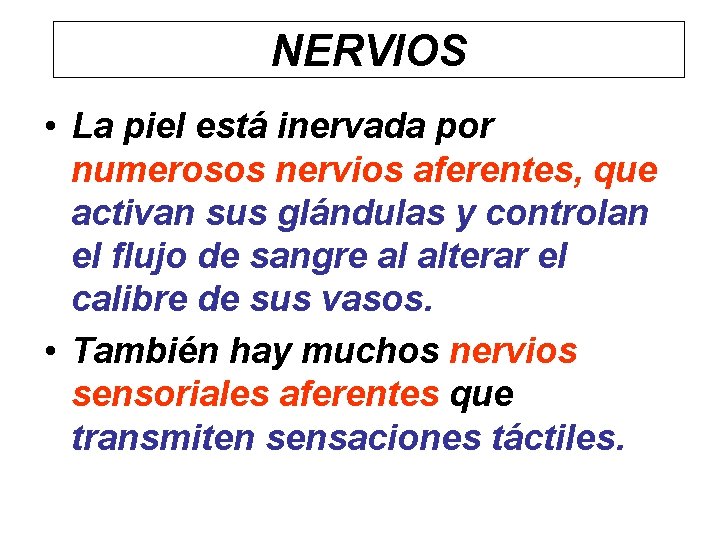 NERVIOS • La piel está inervada por numerosos nervios aferentes, que activan sus glándulas
