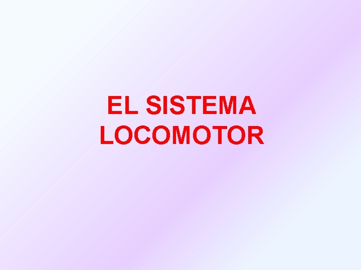 EL SISTEMA LOCOMOTOR 