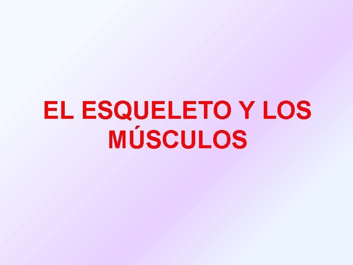 EL ESQUELETO Y LOS MÚSCULOS 