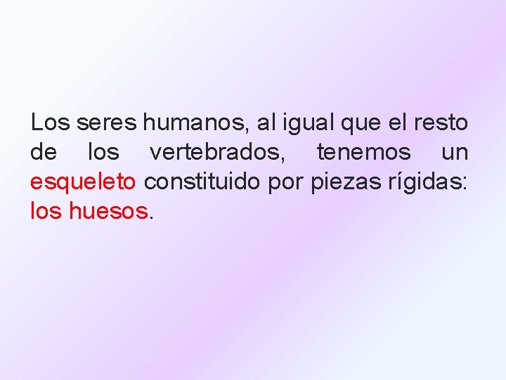 Los seres humanos, al igual que el resto de los vertebrados, tenemos un esqueleto