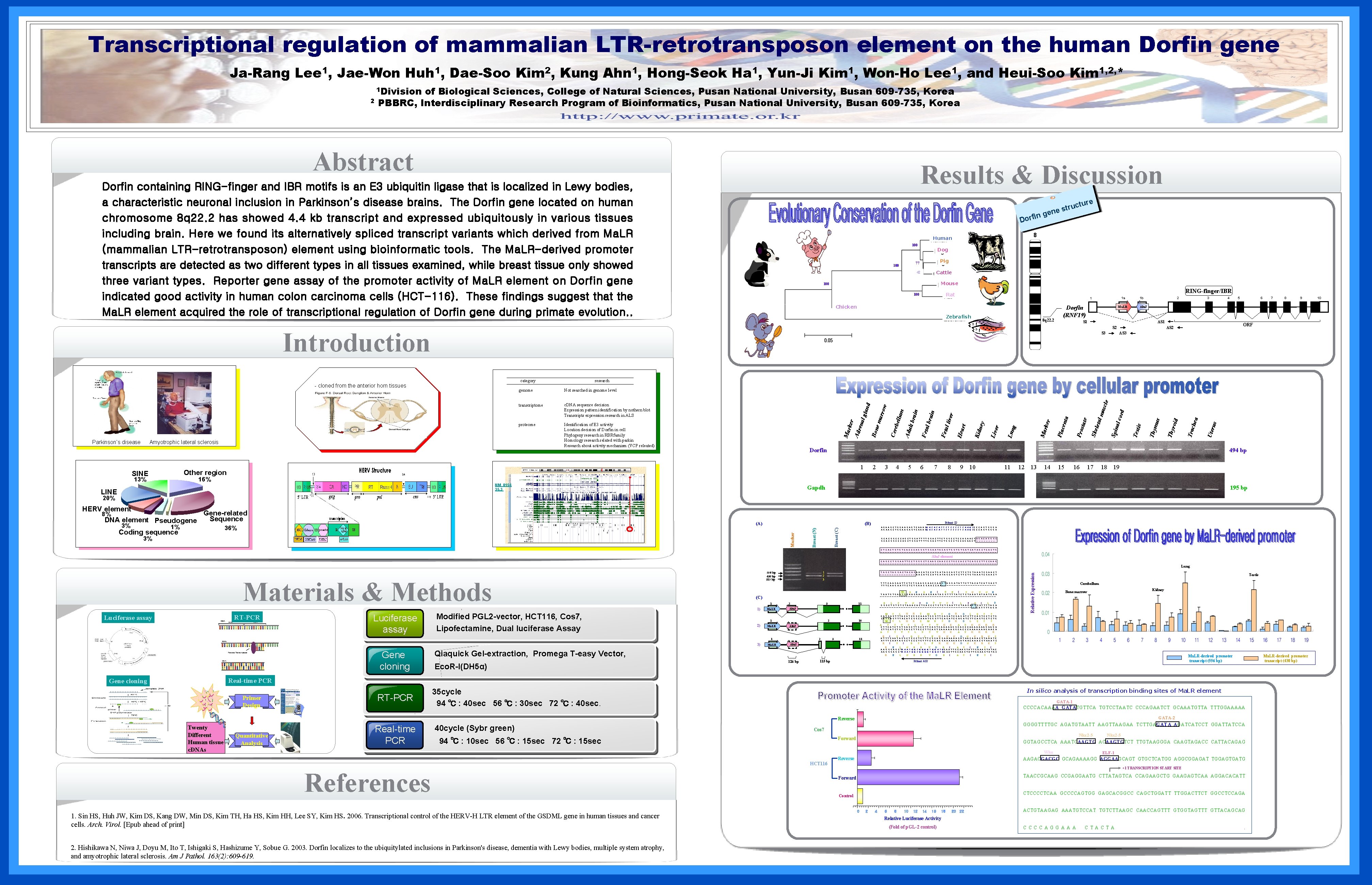 Transcriptional regulation of mammalian LTR-retrotransposon element on the human Dorfin gene Ja-Rang Lee 1,