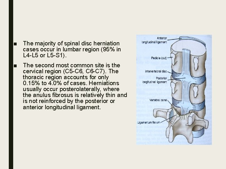 ■ The majority of spinal disc herniation cases occur in lumbar region (95% in