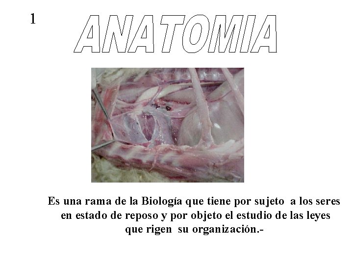 1 Es una rama de la Biología que tiene por sujeto a los seres