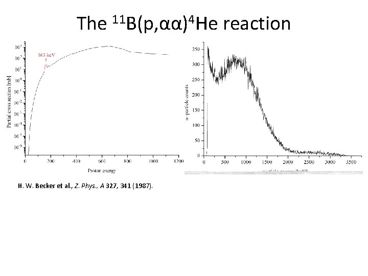 The 11 B(p, αα)4 He reaction H. W. Becker et al. , Z. Phys.