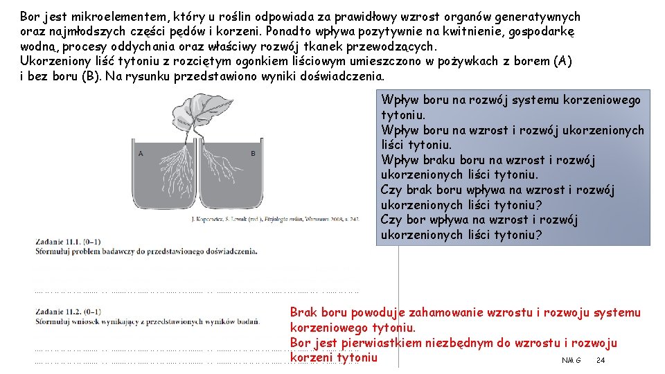 Bor jest mikroelementem, który u roślin odpowiada za prawidłowy wzrost organów generatywnych oraz najmłodszych