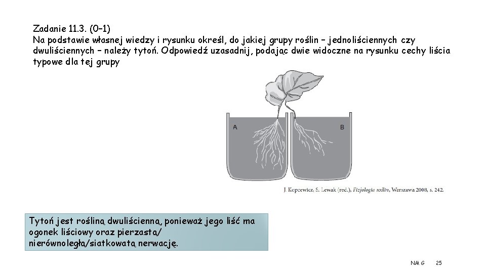 Zadanie 11. 3. (0– 1) Na podstawie własnej wiedzy i rysunku określ, do jakiej