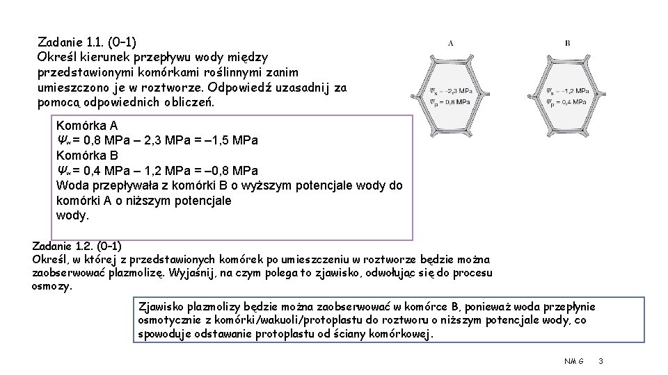 Zadanie 1. 1. (0– 1) Określ kierunek przepływu wody między przedstawionymi komórkami roślinnymi zanim