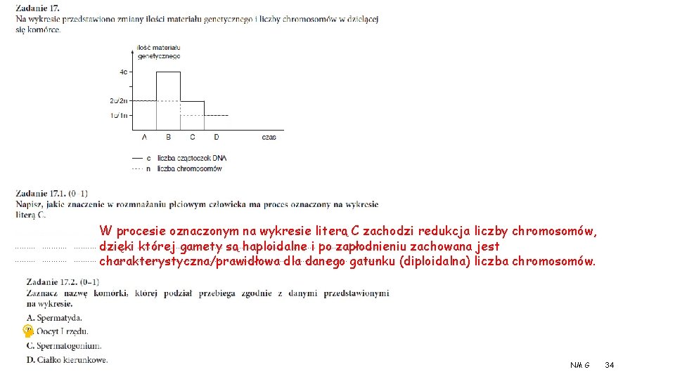 W procesie oznaczonym na wykresie literą C zachodzi redukcja liczby chromosomów, dzięki której gamety