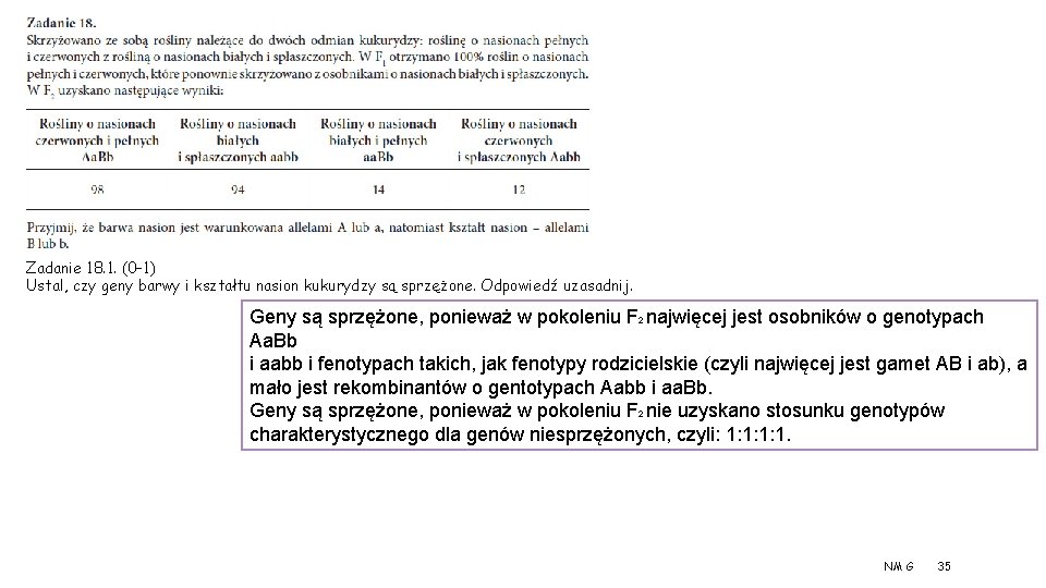 Zadanie 18. 1. (0– 1) Ustal, czy geny barwy i kształtu nasion kukurydzy są