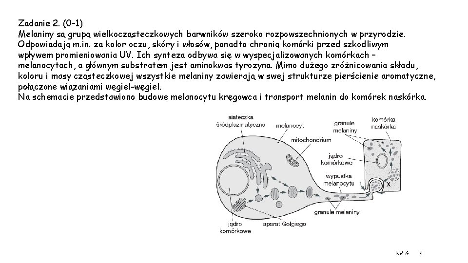 Zadanie 2. (0– 1) Melaniny są grupą wielkocząsteczkowych barwników szeroko rozpowszechnionych w przyrodzie. Odpowiadają