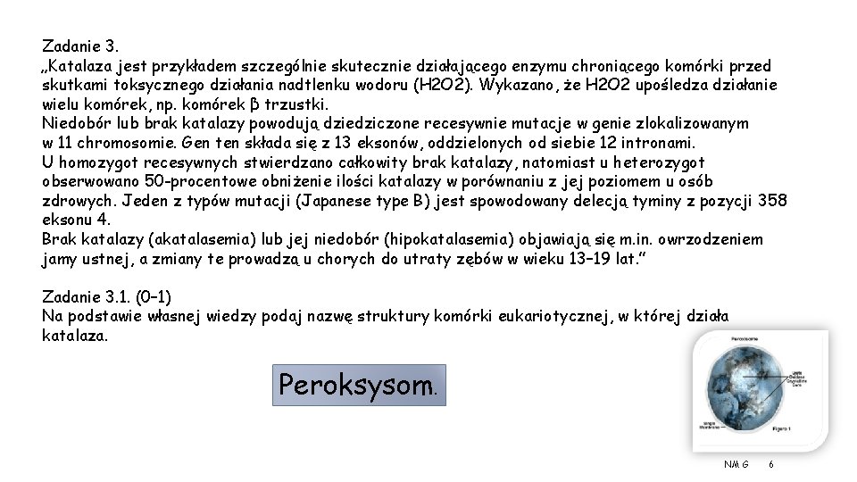 Zadanie 3. „Katalaza jest przykładem szczególnie skutecznie działającego enzymu chroniącego komórki przed skutkami toksycznego