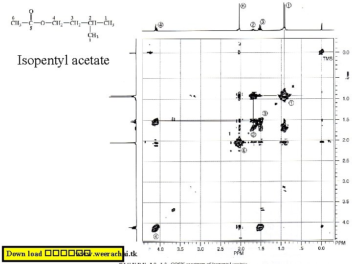 Isopentyl acetate Down load ������ www. weerachai. tk 