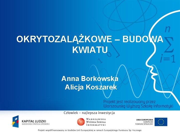 OKRYTOZALĄŻKOWE – BUDOWA KWIATU Anna Borkowska Alicja Koszarek 2 