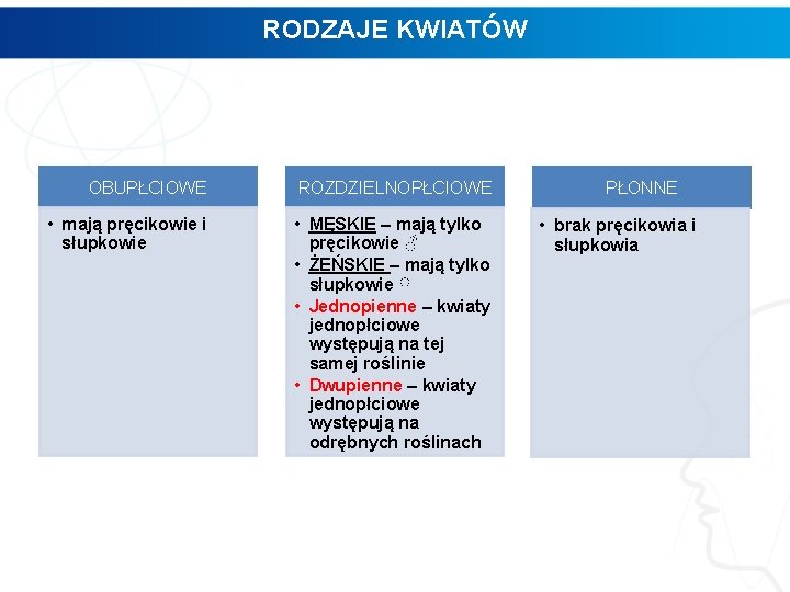 RODZAJE KWIATÓW OBUPŁCIOWE ROZDZIELNOPŁCIOWE • mają pręcikowie i słupkowie • MĘSKIE – mają tylko