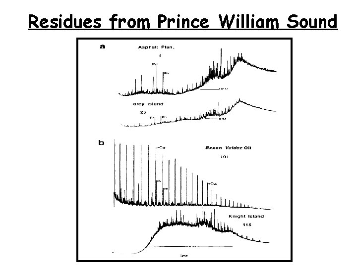 Residues from Prince William Sound 