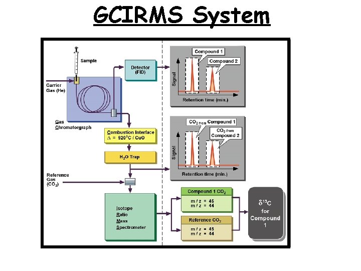 GCIRMS System 