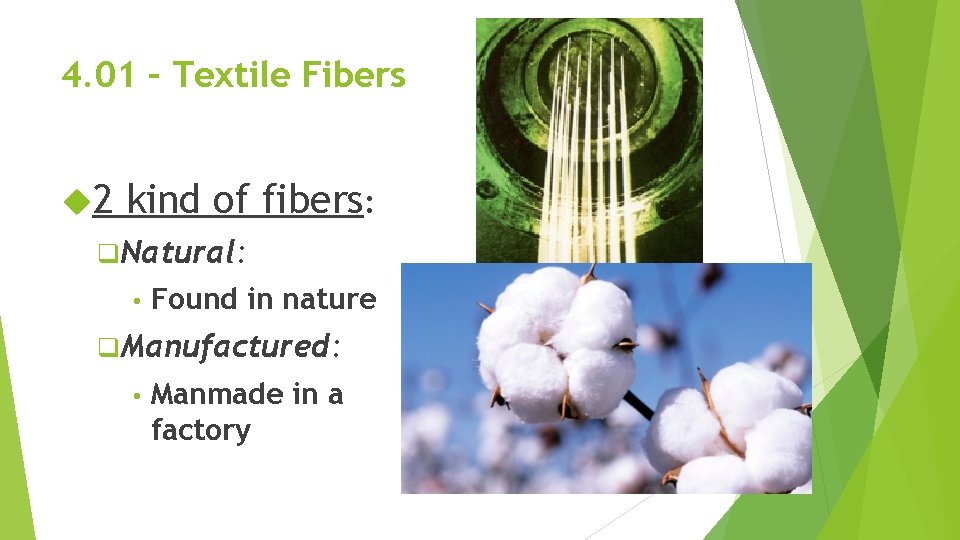 4. 01 – Textile Fibers 2 kind of fibers: q. Natural: • Found in 4. 01 – Textile Fibers 2 kind of fibers: q. Natural: • Found in