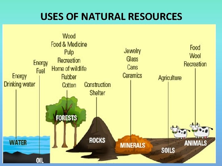 USES OF NATURAL RESOURCES 