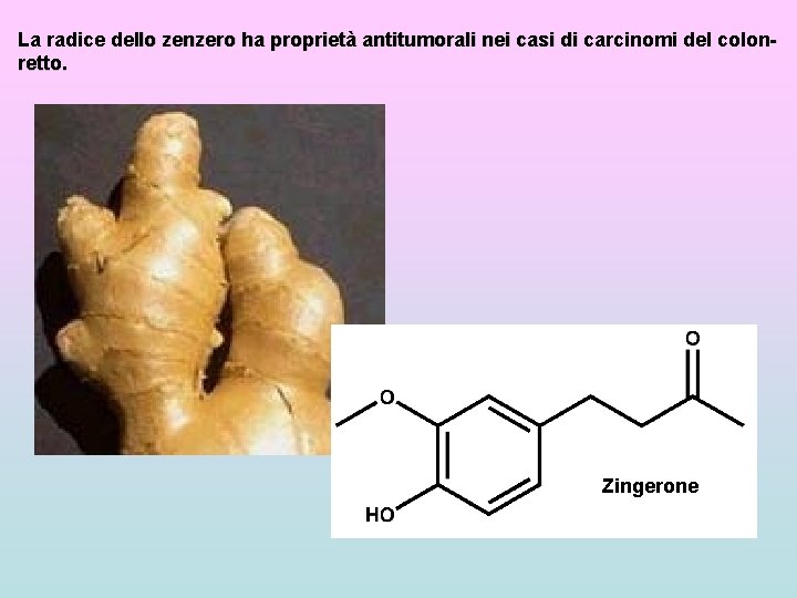 La radice dello zenzero ha proprietà antitumorali nei casi di carcinomi del colonretto. Zingerone