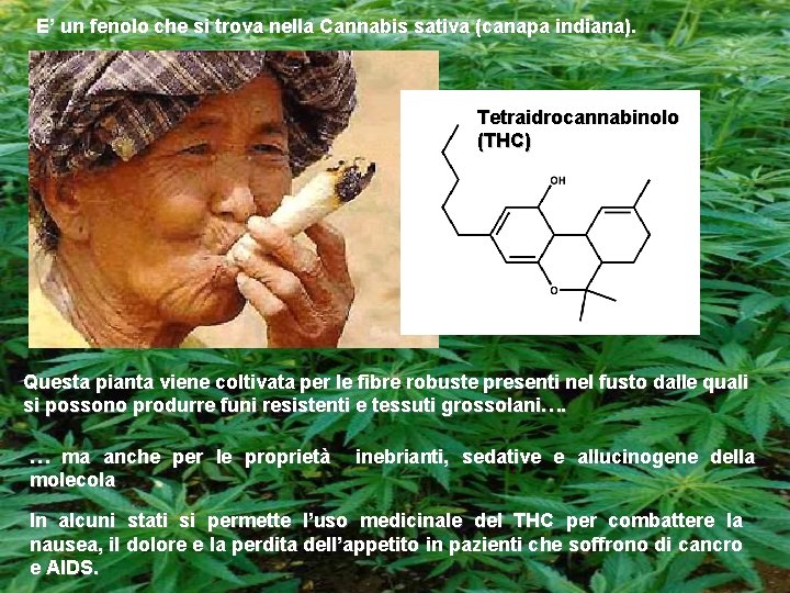 E’ un fenolo che si trova nella Cannabis sativa (canapa indiana). Tetraidrocannabinolo (THC) Questa
