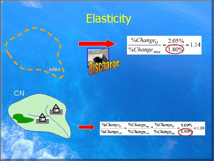 Elasticity AREA CN 