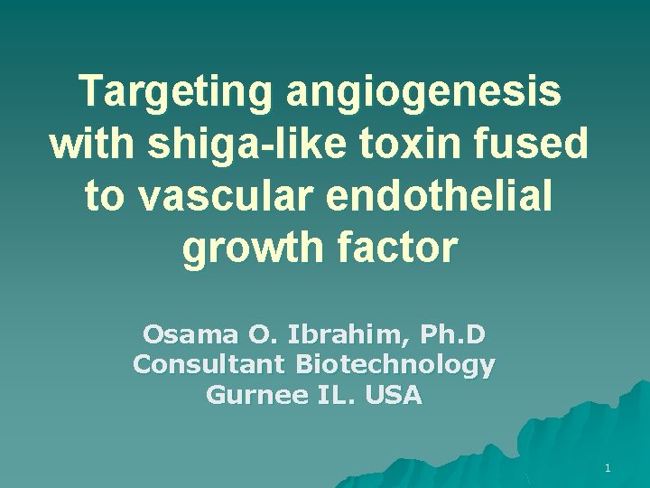 Targeting angiogenesis with shiga-like toxin fused to vascular endothelial growth factor Osama O. Ibrahim,