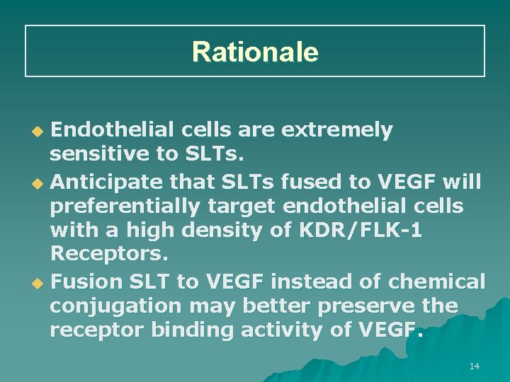 Rationale Endothelial cells are extremely sensitive to SLTs. u Anticipate that SLTs fused to