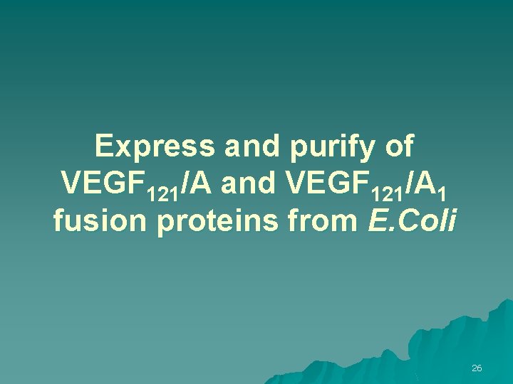 Express and purify of VEGF 121/A and VEGF 121/A 1 fusion proteins from E.