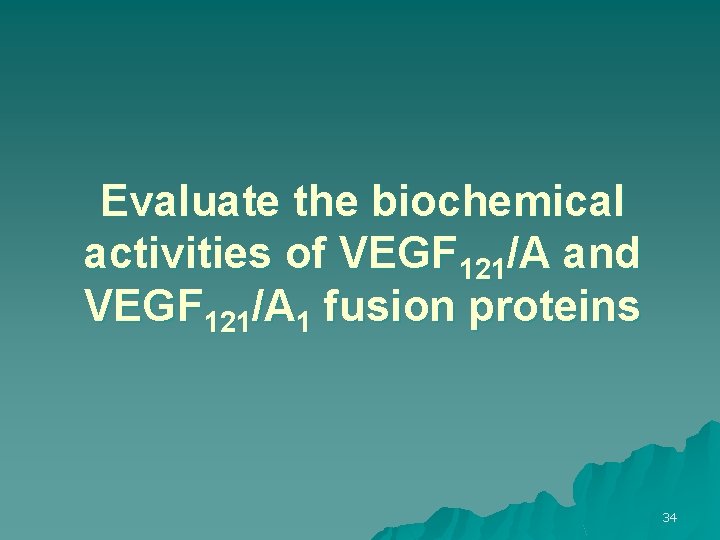 Evaluate the biochemical activities of VEGF 121/A and VEGF 121/A 1 fusion proteins 34