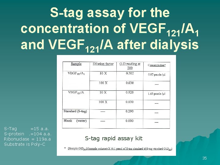 S-tag assay for the concentration of VEGF 121/A 1 and VEGF 121/A after dialysis