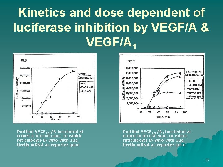 Kinetics and dose dependent of luciferase inhibition by VEGF/A & VEGF/A 1 Purified VEGF