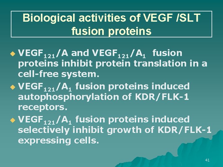 Biological activities of VEGF /SLT fusion proteins VEGF 121/A and VEGF 121/A 1 fusion