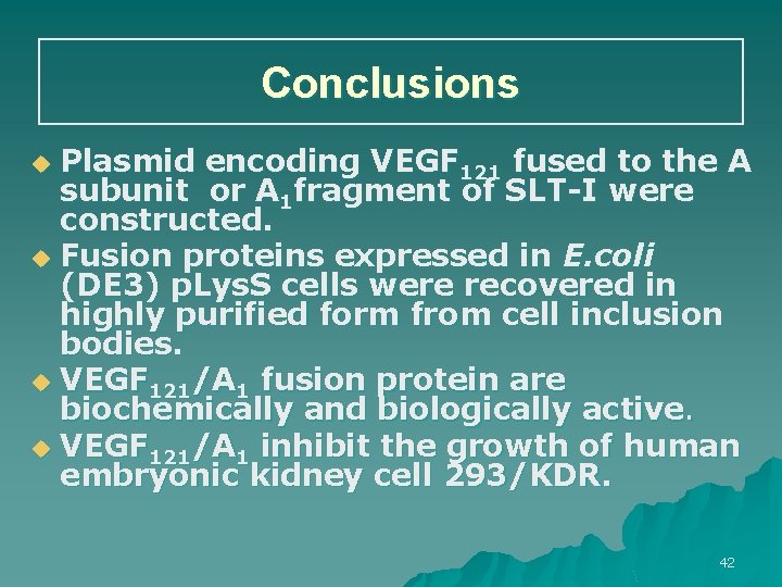 Conclusions Plasmid encoding VEGF 121 fused to the A subunit or A 1 fragment