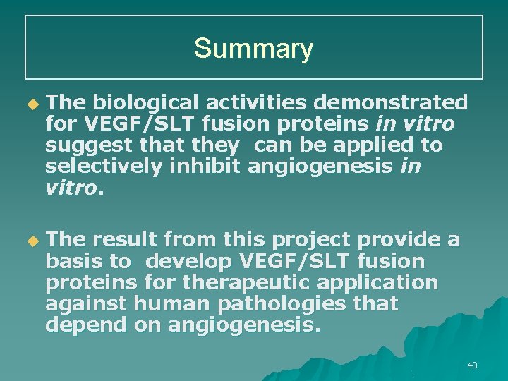 Summary u u The biological activities demonstrated for VEGF/SLT fusion proteins in vitro suggest