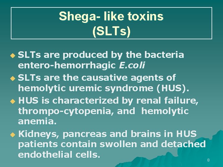 Shega- like toxins (SLTs) SLTs are produced by the bacteria entero-hemorrhagic E. coli u