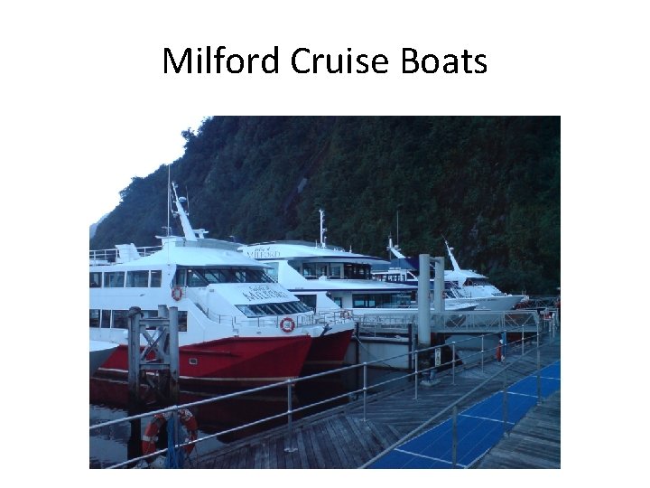 Milford Cruise Boats 
