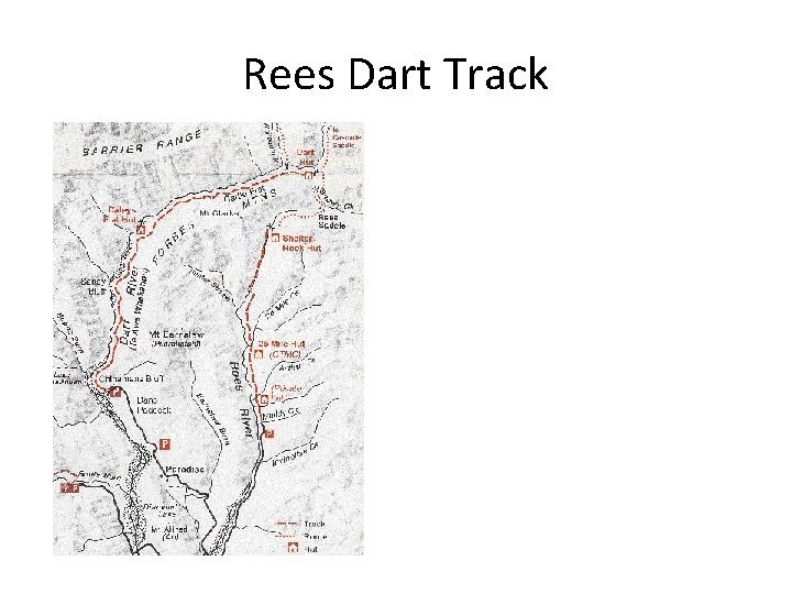 Rees Dart Track 