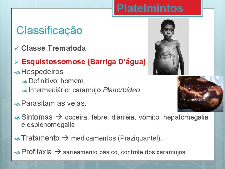 Platelmintos Classificação ü Classe Trematoda Esquistossomose (Barriga D’água) Hospedeiros Ø Definitivo: homem. Intermediário: caramujo