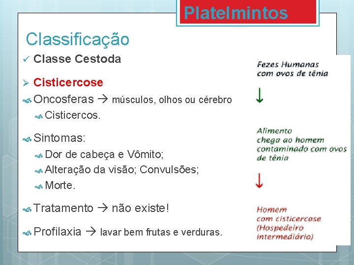 Platelmintos Classificação ü Classe Cestoda Cisticercose Oncosferas músculos, olhos ou cérebro Ø Cisticercos. Sintomas: