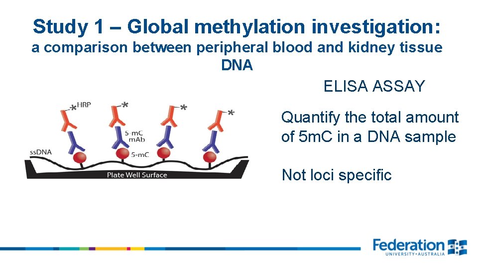 Study 1 – Global methylation investigation: a comparison between peripheral blood and kidney tissue