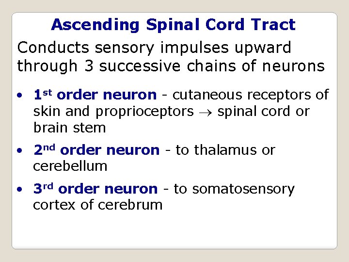 Ascending Spinal Cord Tract Conducts sensory impulses upward through 3 successive chains of neurons