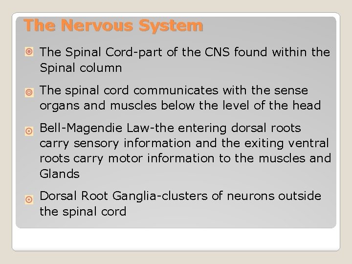 The Nervous System The Spinal Cord-part of the CNS found within the Spinal column
