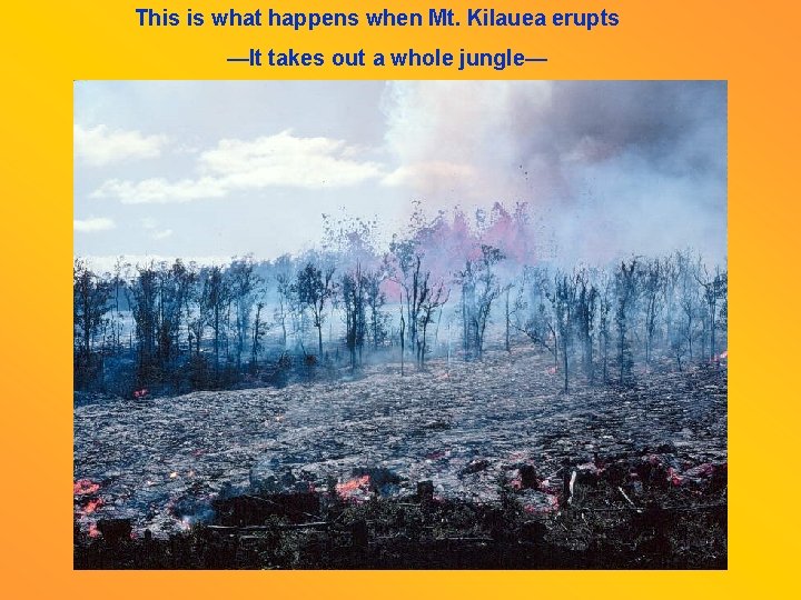 This is what happens when Mt. Kilauea erupts —It takes out a whole jungle—