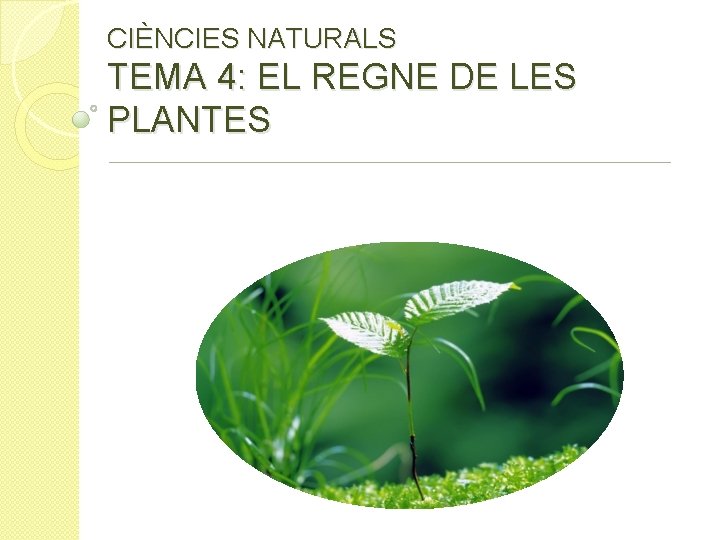CIÈNCIES NATURALS TEMA 4: EL REGNE DE LES PLANTES 