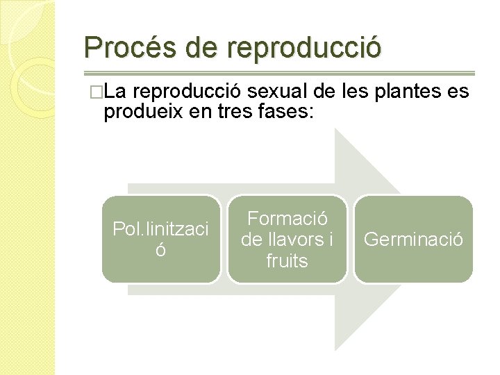 Procés de reproducció �La reproducció sexual de les plantes es produeix en tres fases: