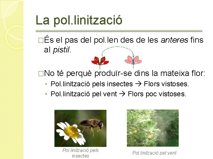La pol. linització �És el pas del pol. len des de les anteres fins