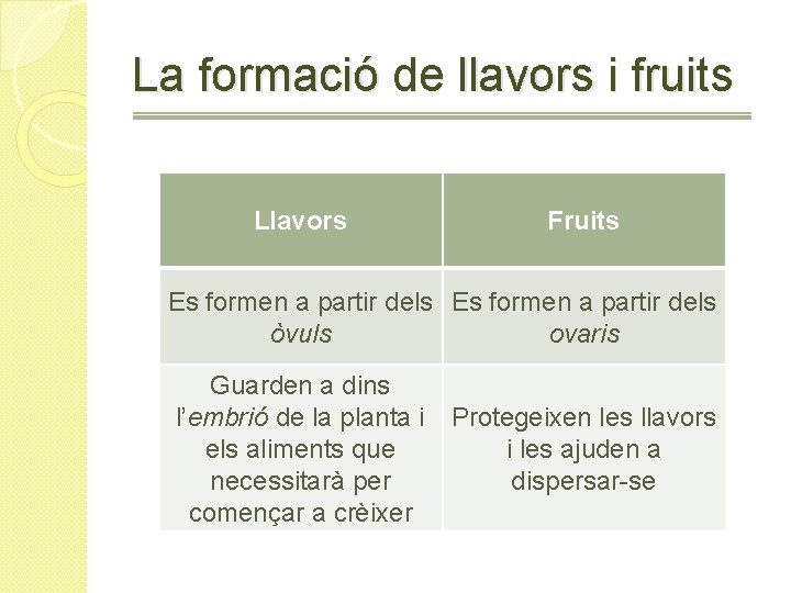 La formació de llavors i fruits Llavors Fruits Es formen a partir dels òvuls