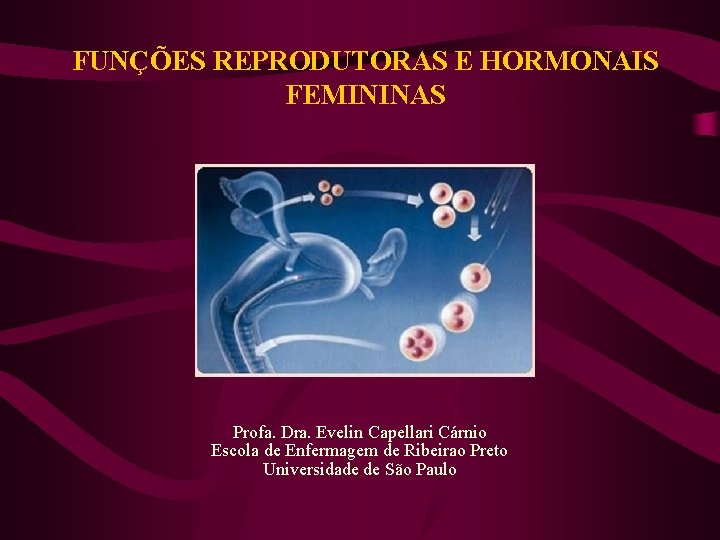FUNÇÕES REPRODUTORAS E HORMONAIS FEMININAS Profa. Dra. Evelin Capellari Cárnio Escola de Enfermagem de