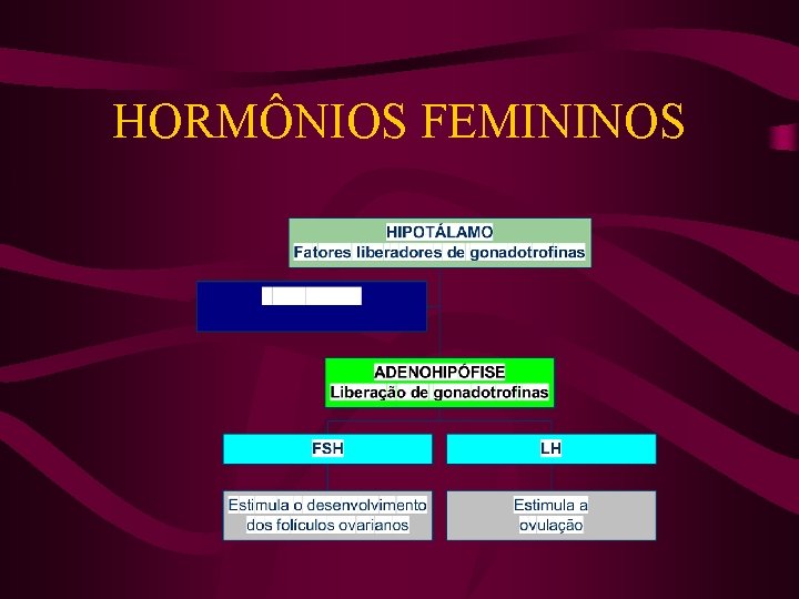 HORMÔNIOS FEMININOS 