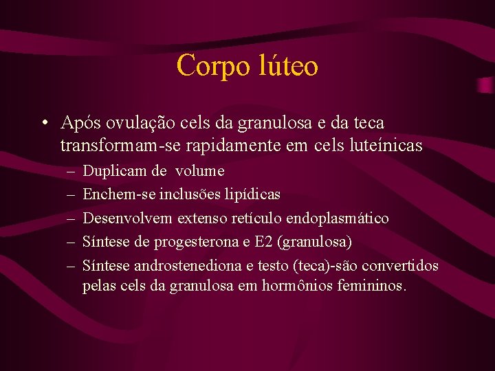 Corpo lúteo • Após ovulação cels da granulosa e da teca transformam-se rapidamente em